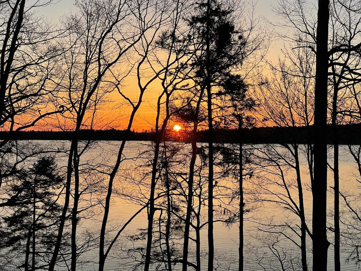 "Good Morning" Photo by Buddy Poland